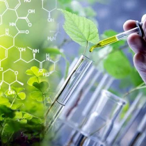 6-05-0721-01 ПРОИЗВОДСТВО ПРОДУКТОВ ПИТАНИЯ ИЗ РАСТИТЕЛЬНОГО СЫРЬЯ «ЗЕРНОВАЯ БИОИНЖЕНЕРИЯ»
